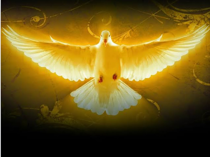 Gerakan Profetik dan Apostolik by Pdt.Gilbert L – RPK FM